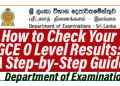 How to Check Your GCE O Level Results