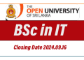 BSc in Information Technology 2024/2025