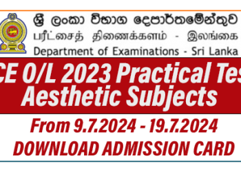 GCE O/L 2023 Practical Test - Aesthetic Subjects