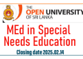 MEd in Special Needs Education