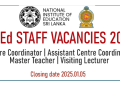 BEd Vacancies at NIE
