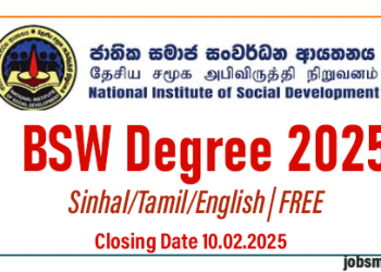 BSW Degree Program 2025 - NISD