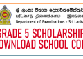 School Copy - Grade 5 Scholarship Result