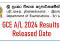 GCE A/L 2024 Results Released Date