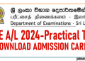 GCE A/L 2024 Practical Test - Download Admission Card