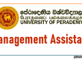 Management Assistant - University Of Peradeniya (UOP)