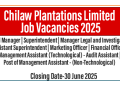 Chilaw Plantations Limited Job Vacancies 2025