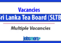 Job Vacancies at Sri Lanka Tea Board (SLTB) – 2025