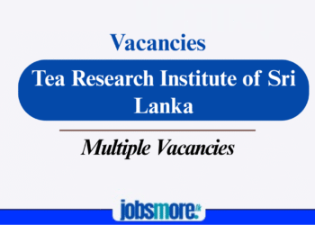 TRI Sri Lanka 2025 Job Vacancies