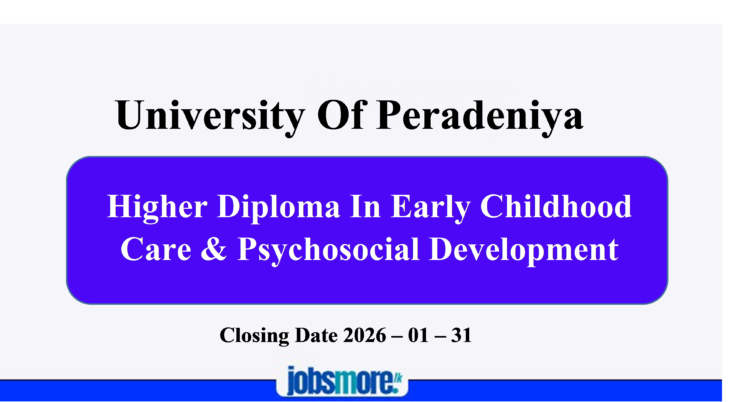 Higher Diploma in Early Childhood Care & Psychosocial Development
