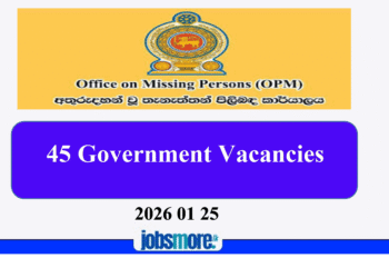 Data Entry Operator, Management Assistant, IT Officer, Driver & More Job Vacancies 2026 – Office on Missing Persons (OMP)