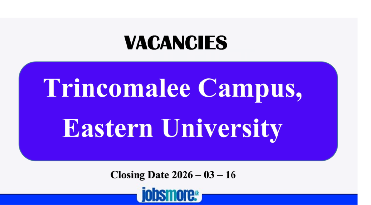 Trincomalee Campus Eastern University Vacancies – 2026