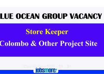 BLUE OCEAN GROUP VACANCY 2026 – STORE KEEER